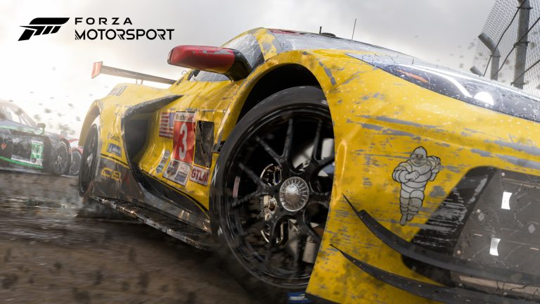 Forza-Motorsport-Damage