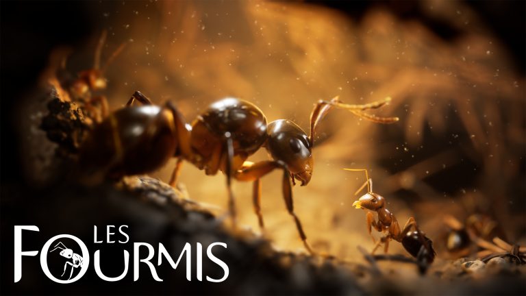empire-of-the-ants-yhl7g-3