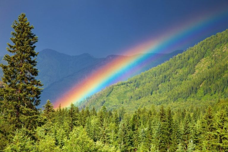 colored-rainbow-over-forest-mountains-1024x682-1