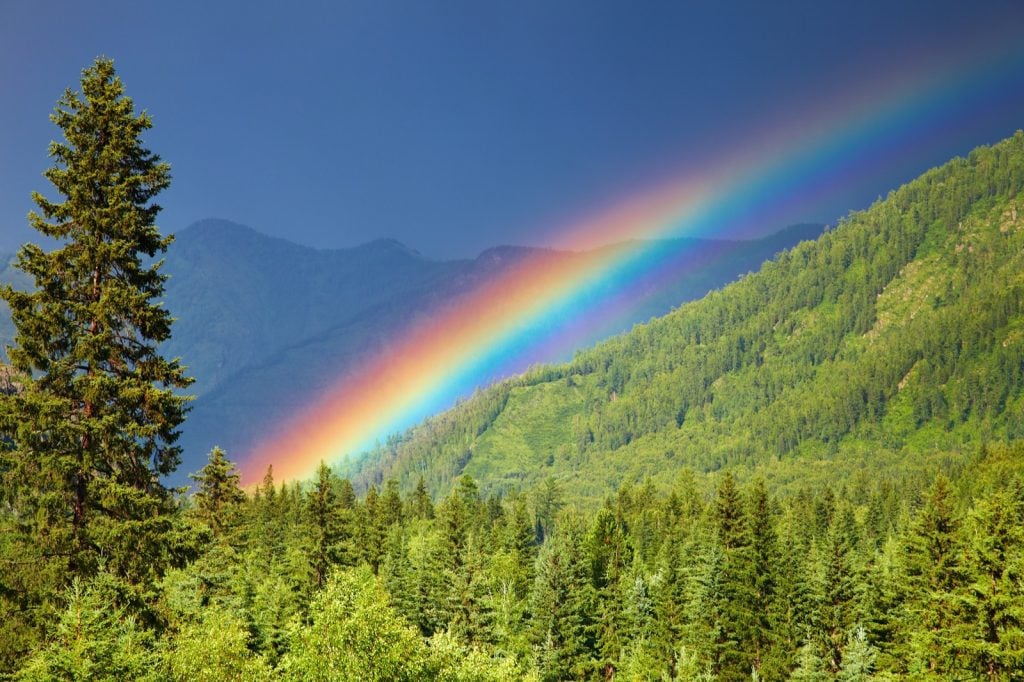 colored-rainbow-over-forest-mountains-1024x682-1