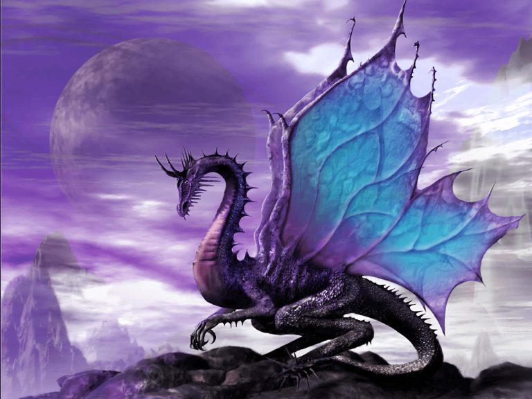 purple-dragon-8koxm4oqvb856brl